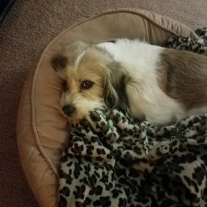 Meet your Posher, Mary